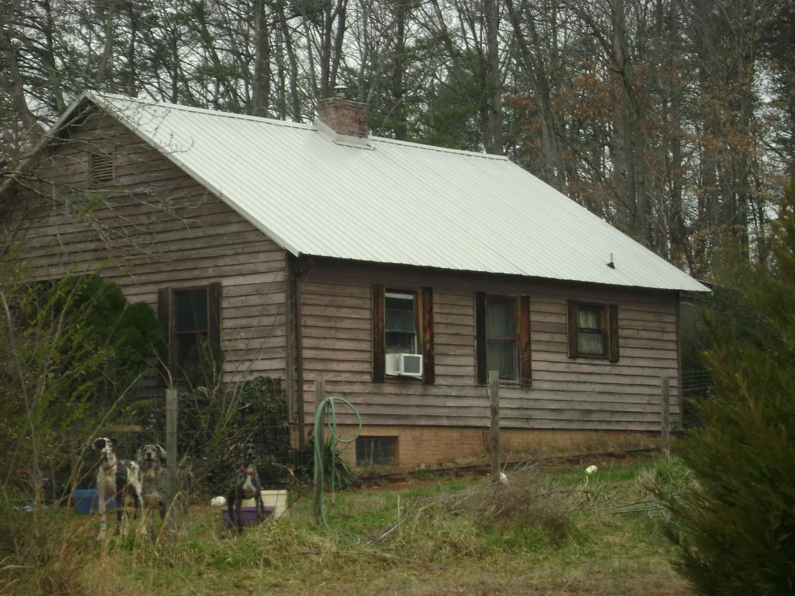 White metal roof on an old wood sided farmhouse, from a Asphalt Shingle Roof Repair job in Otter Rock